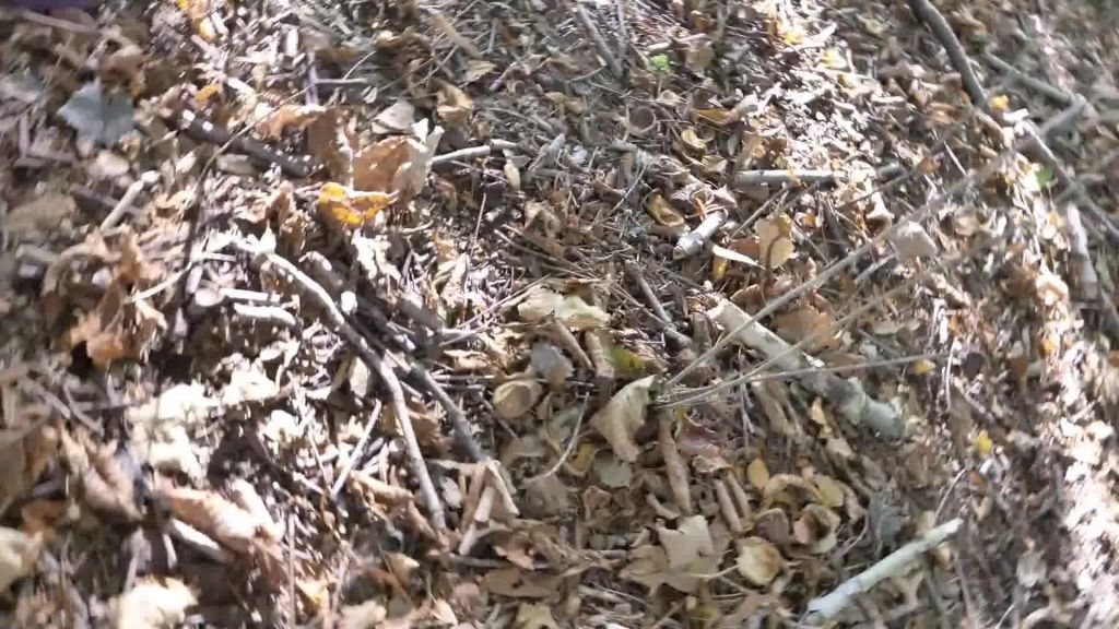 sexy foto nr. 9 von Perverser Fick im Wald...geiler geht es nicht !!