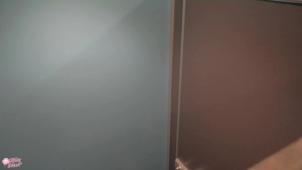 sexy foto nr. 1 von Riesendildo auf der Firmentoilette gefickt !