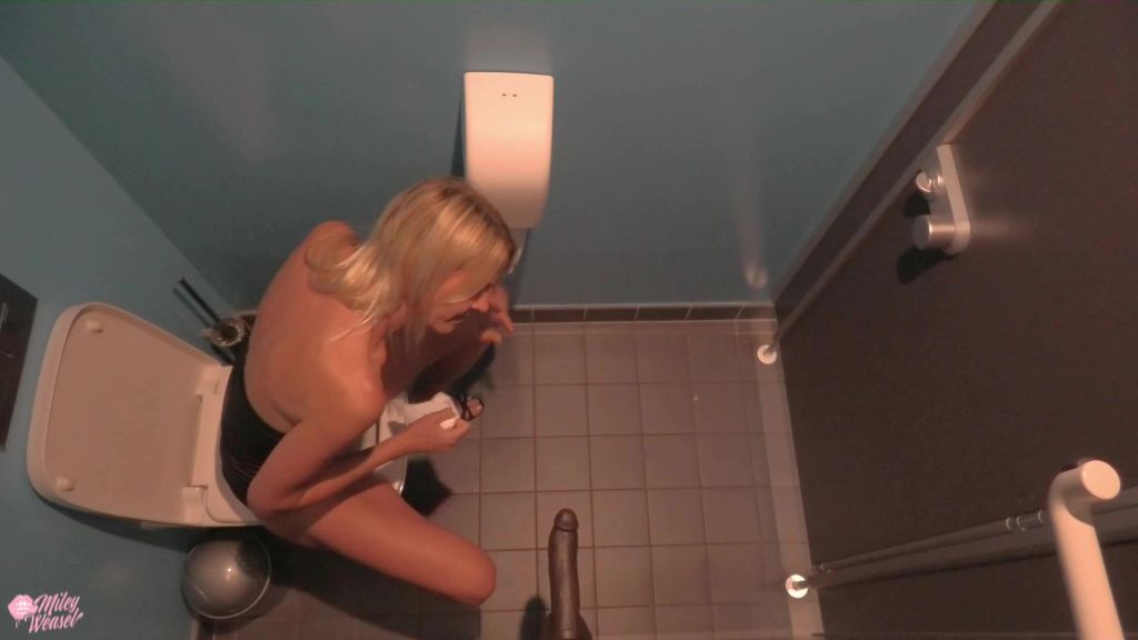Riesendildo auf der Firmentoilette gefickt !