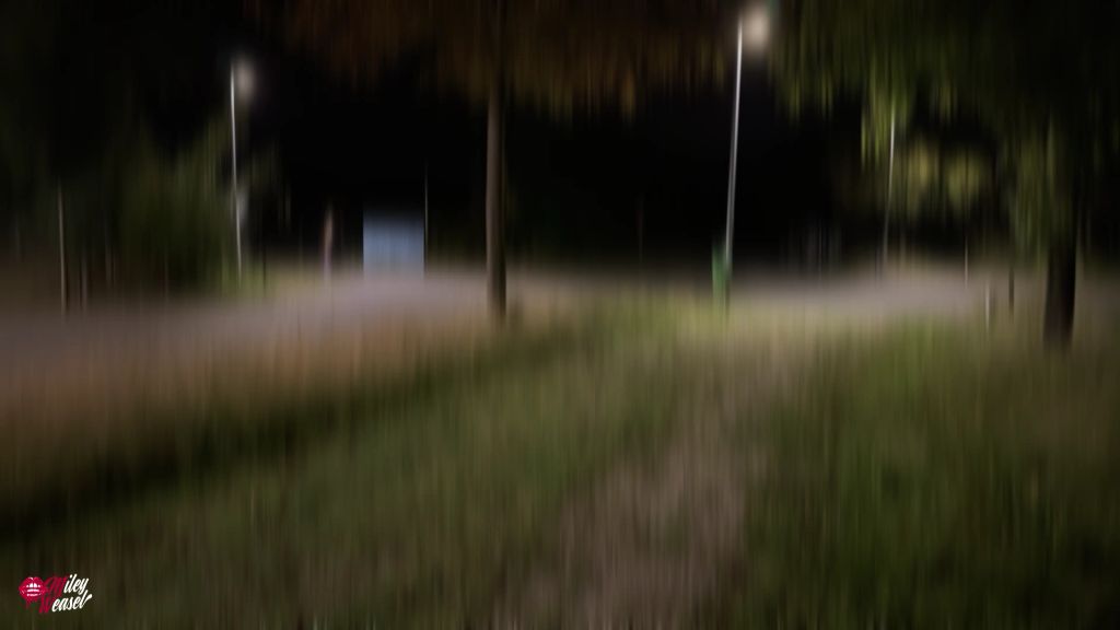 sexy foto nr. 1 von Er folgt mir !! Krasser gehts nicht!! Fremder Trucker....