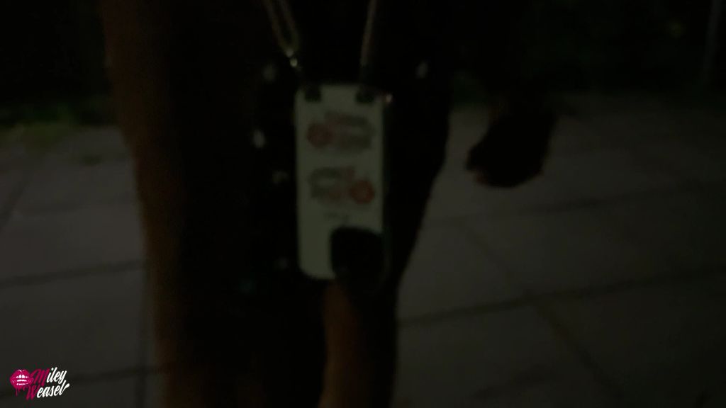 sexy foto nr. 4 von Fickdate auf der Partymeile !! Hier knallt nicht nur....