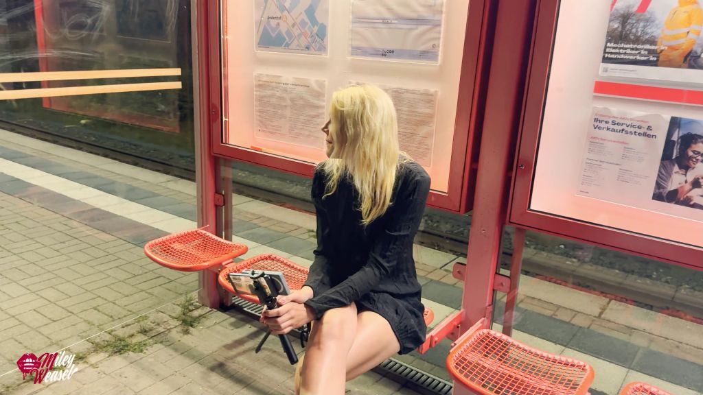 Vorschaubild 2 zum Video „Krass !! Geile Schlampe mitten am Bahnhof gefickt !!!“