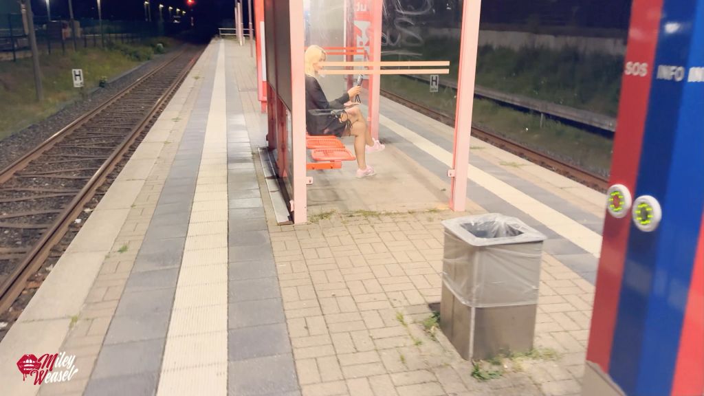 Vorschaubild zum Video „Krass !! Geile Schlampe mitten am Bahnhof gefickt !!!“ von Miley Weasel