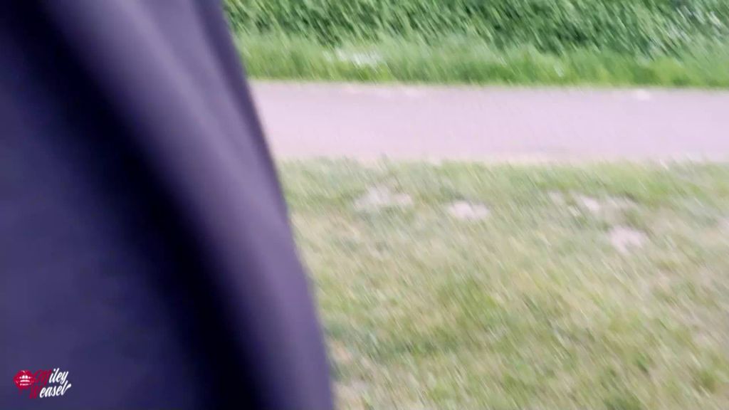 sexy foto nr. 5 von Mitten an der Strasse gefickt !!