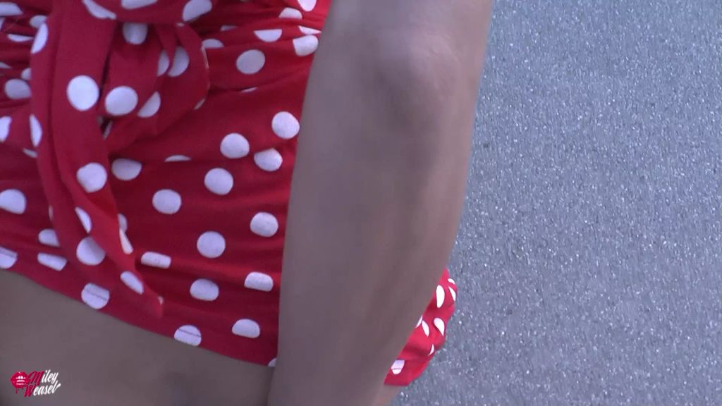 sexy foto nr. 7 von Fremder Typ fickt meinen Arsch..mittten auf dem Deich !!