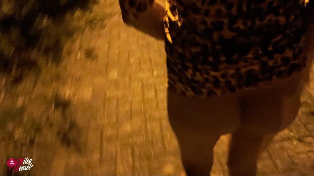 sexy foto nr. 6 von Taxi verpasst....was nun ? Hättest du dich getraut ?