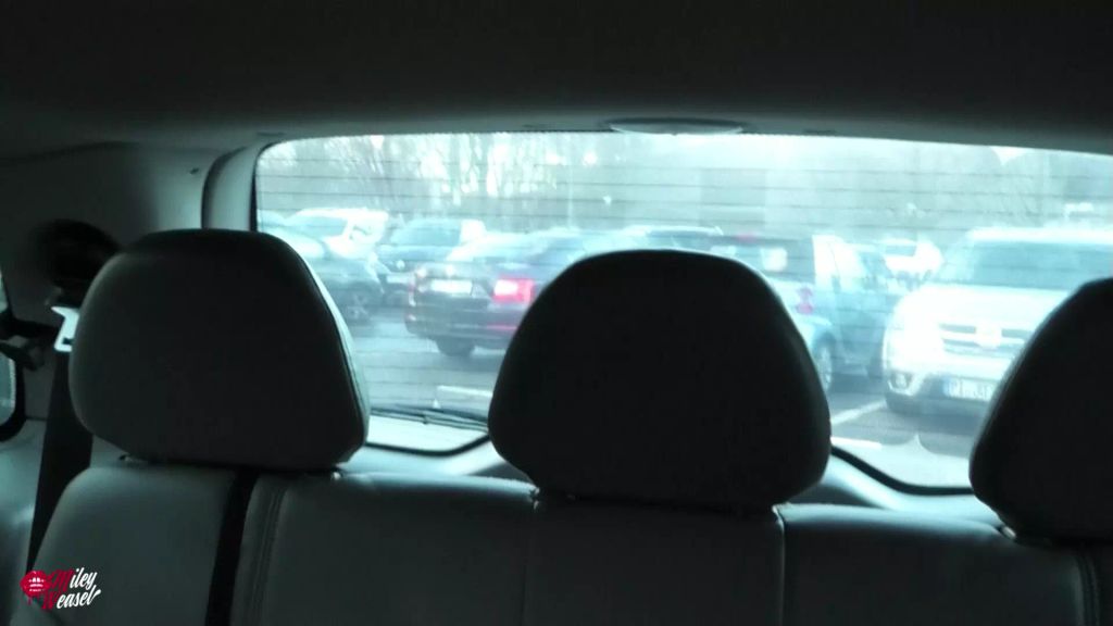 sexy foto nr. 9 von Unfassbar! Die versauteste Taxifahrt meines Lebens !!