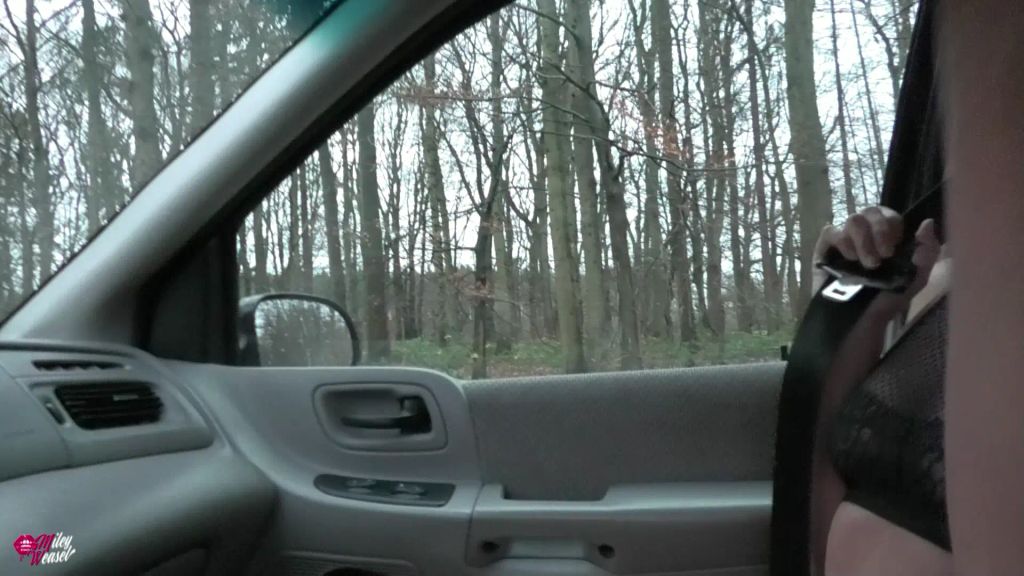 sexy foto nr. 3 von Versauter Fremdfick an der Landstrasse !!