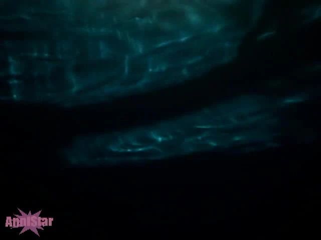Geile Unterwasser Dildoshow