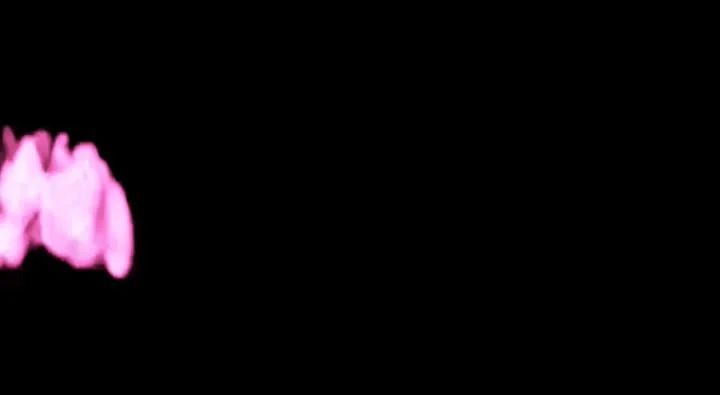 Black und XXL