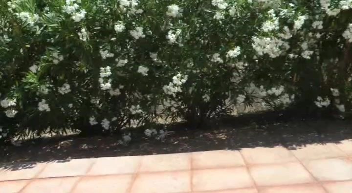 sexy foto nr. 7 von 3er auf Mallorca