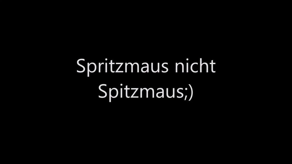 Vorschaubild 1 zum Video „Spritzmaus nicht Spitzmaus;)“
