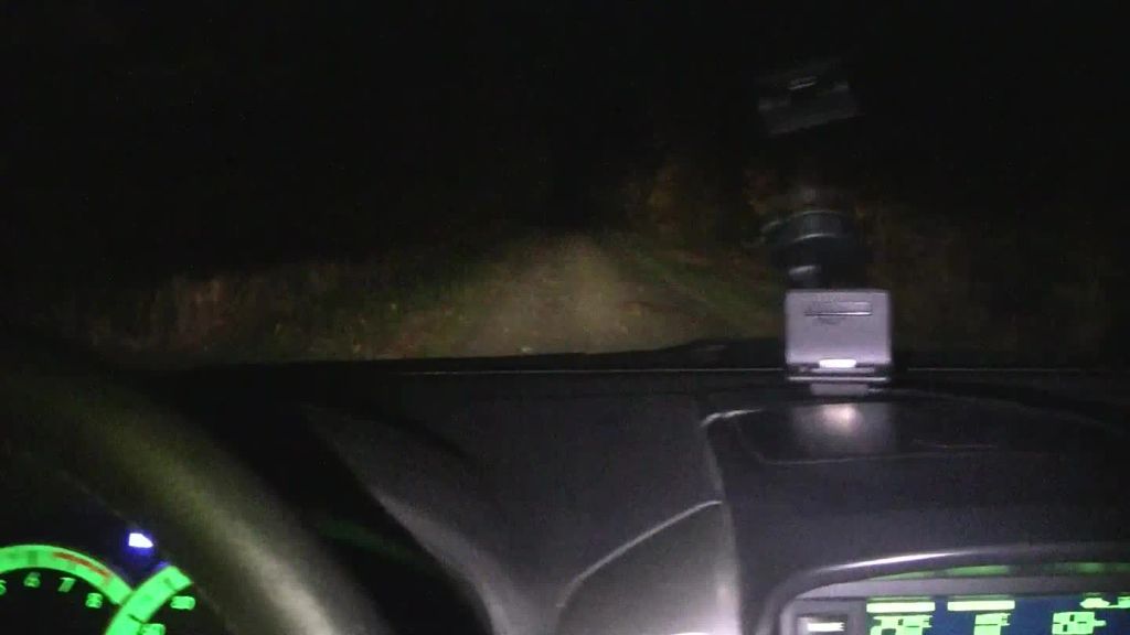 Auf die Straße gepisst