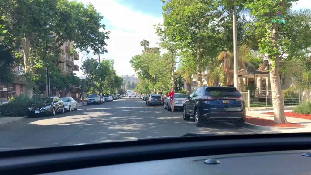 Mitgefahren! Mitgefickt! Straßenschlampe aufgegriffen!