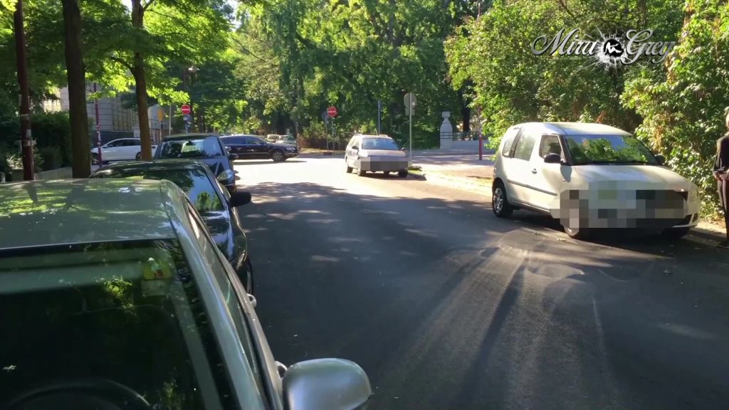 sexy foto nr. 3 von Piss auf der Hauptstraße - mehr Public geht nicht!