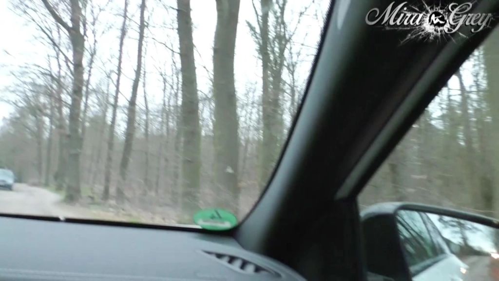sexy foto nr. 4 von Anhalter fickt mich! Pasant erwischt uns!