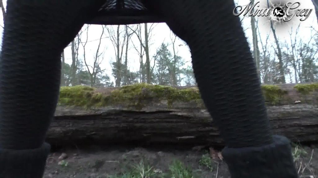 sexy foto nr. 9 von Die Sturmflut - Wildpissen ist geil!