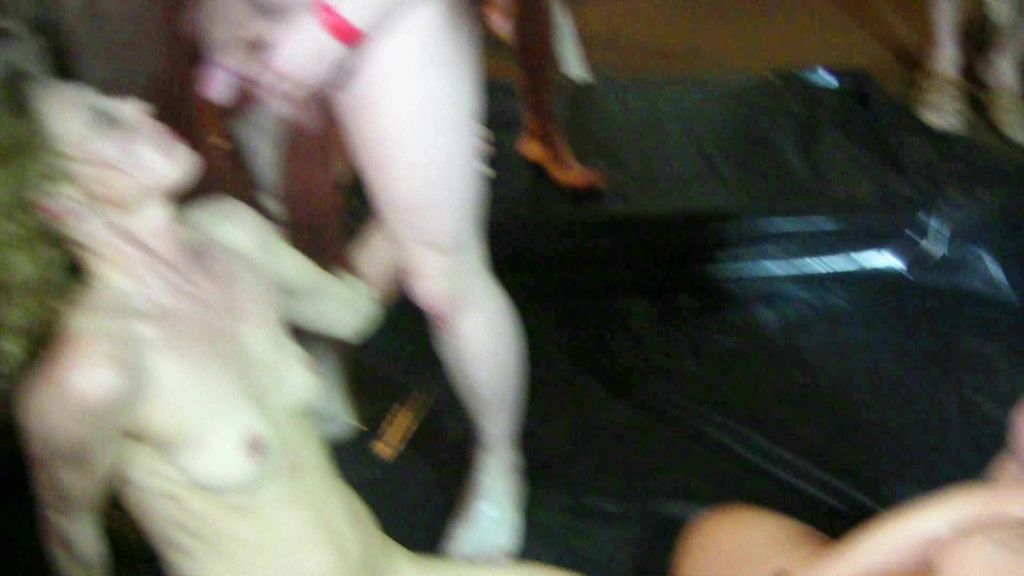 sexy foto nr. 9 von Mega Pervers!Extrem Drecksau-Party(Teil3)