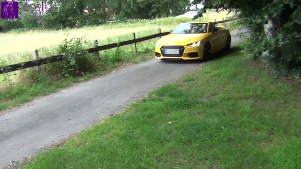Best of Lesbo-Piss-Sauereien von Analstute20 und Rosella! 1