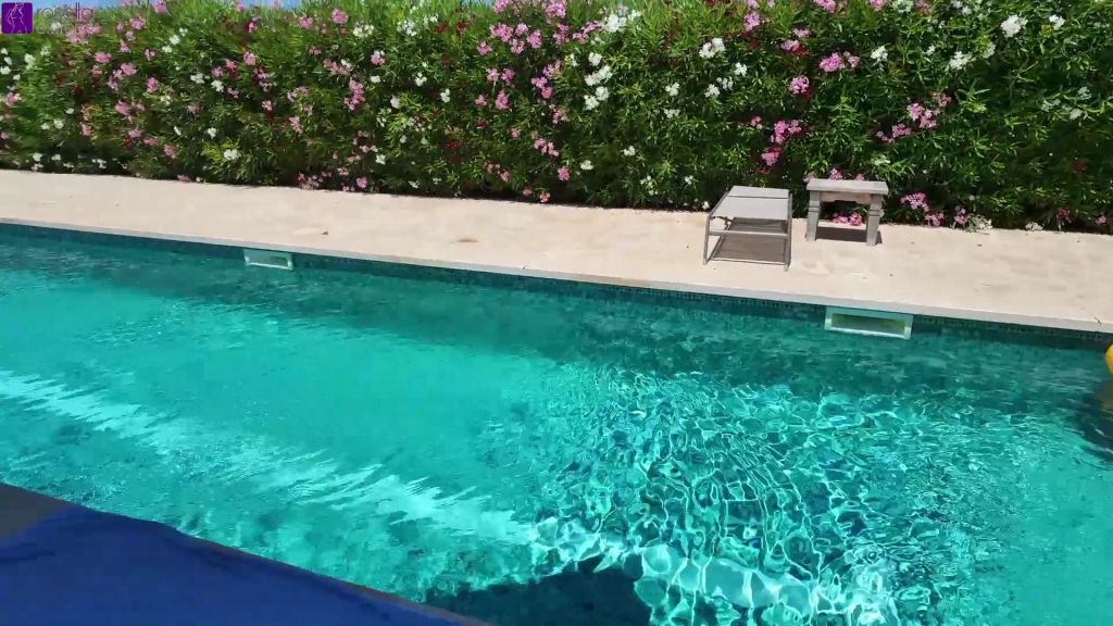 sexy foto nr. 4 von 3 dauerfeuchte Muschis am Hotelpool! Full Movie