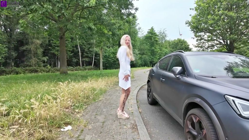 sexy foto nr. 3 von Spontane und versaute Rastplatz-Aktion für jedermann! Teil 1