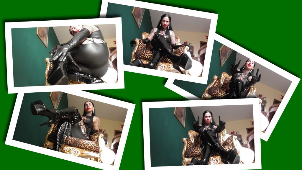 sexy foto nr. 10 von LOSER $TEUER DEZEMBER