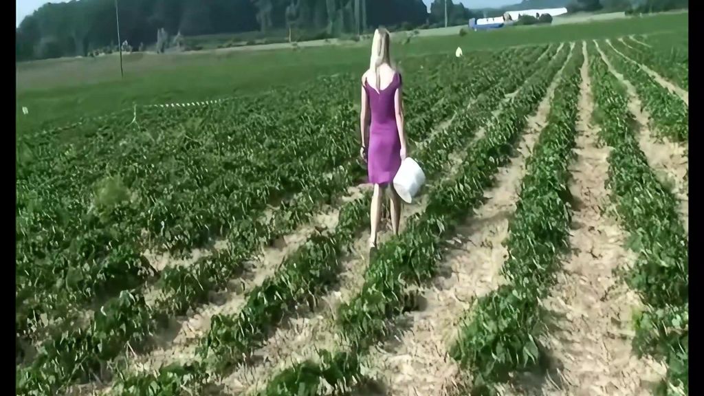 sexy foto nr. 1 von Fick nach dem Erdbeerpflücken