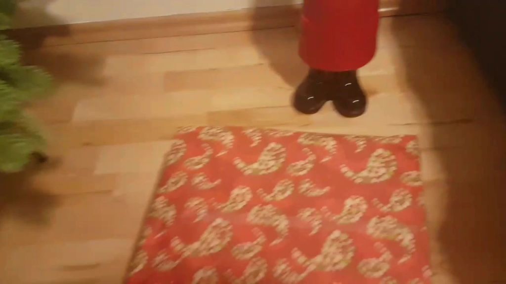 sexy foto nr. 3 von Frohe Weihnachten!