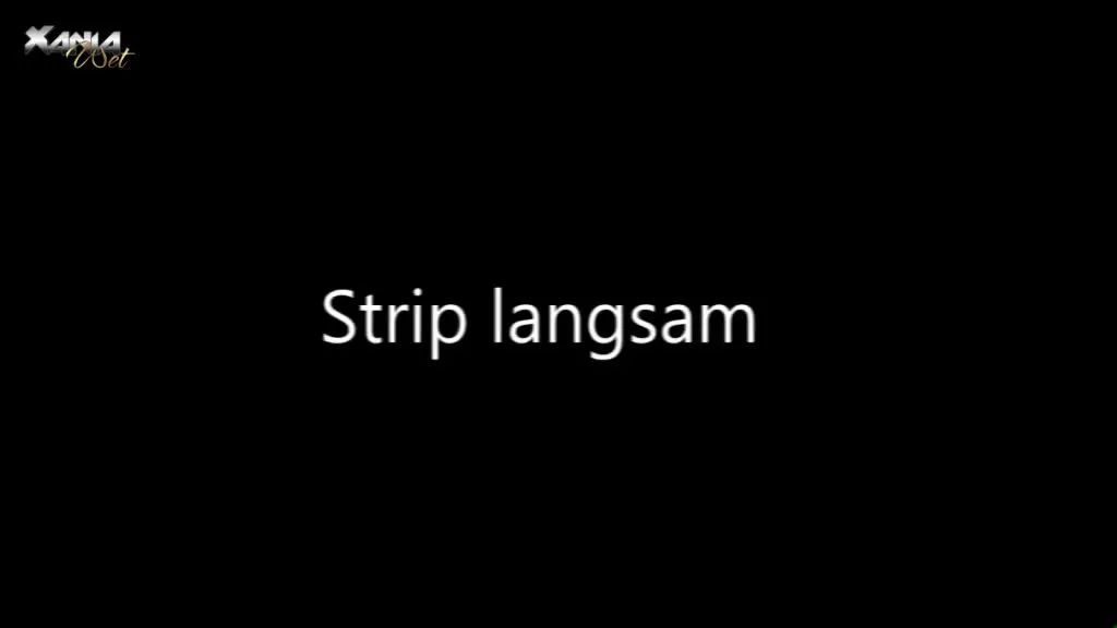sexy foto nr. 1 von STRIPTEASE - zu gast im hotel - teil 1
