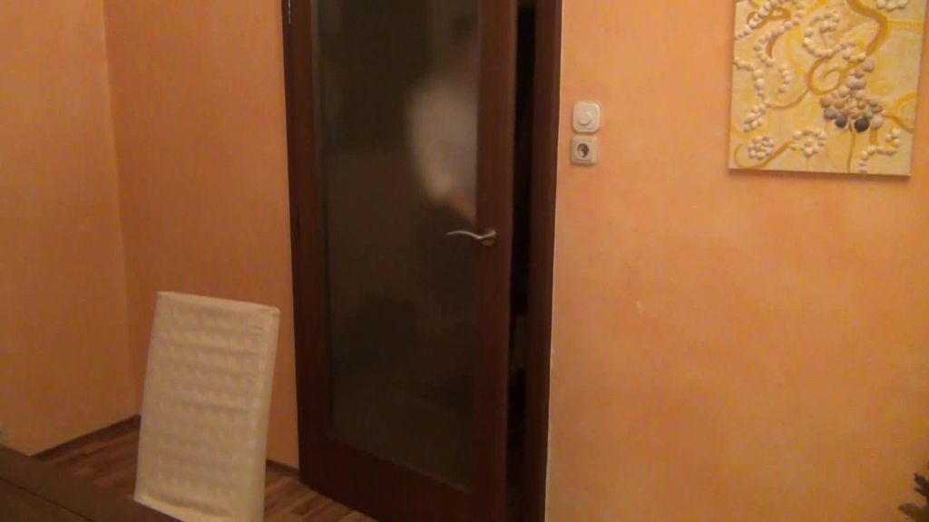Vorschaubild 1 zum Video „HART GEFiCKT beim Modelcasting!“
