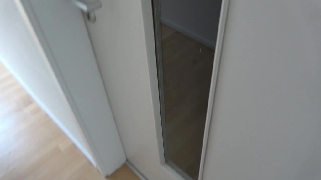 Vorschaubild 1 zum Video „Die Laufhaus Schlampe! Bist du der Nächste?“