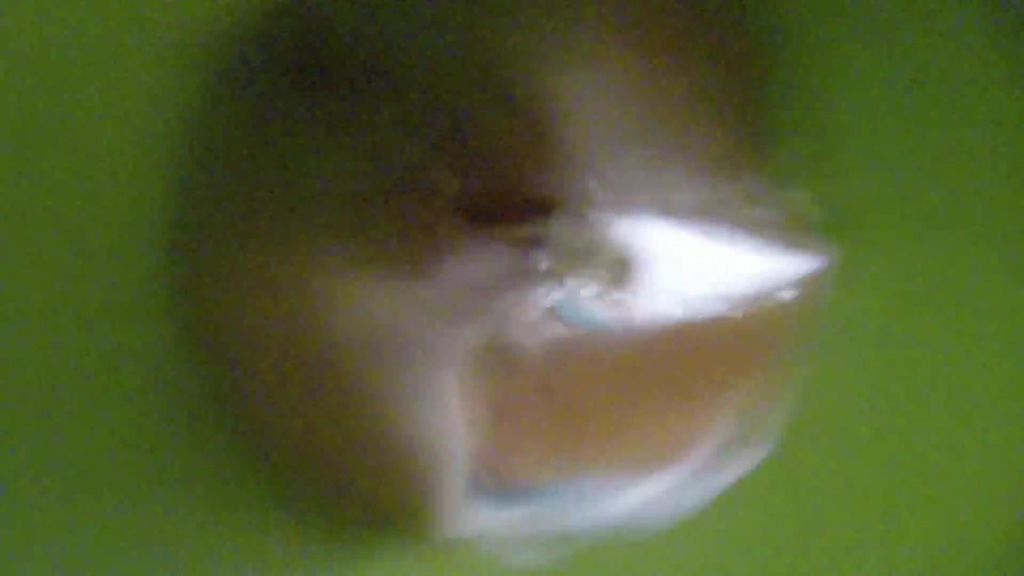 Vorschaubild 4 zum Video „Piss - Collection! Natursekt PUR!“