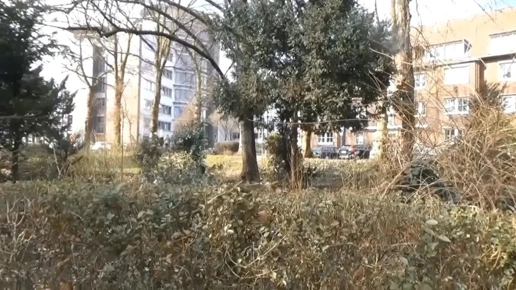 sexy foto nr. 4 von RAMBAZAMBA im PENNER-PARK***