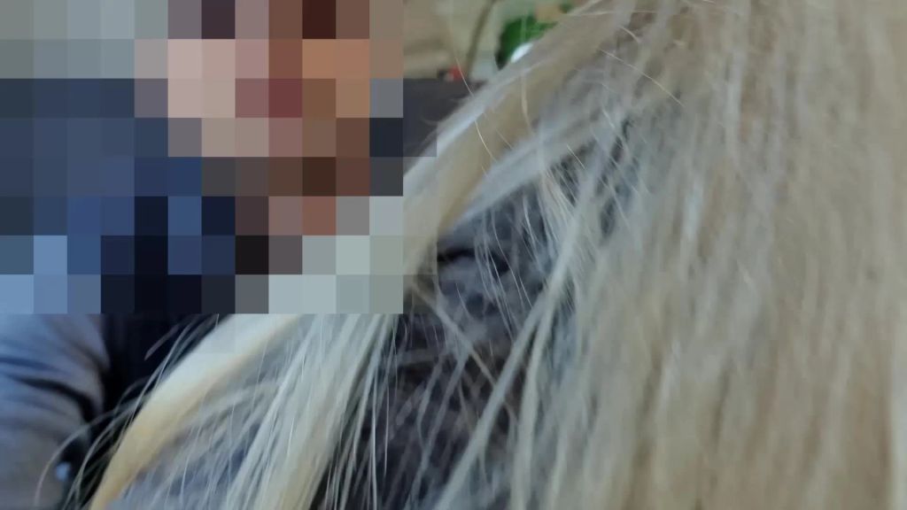 sexy foto nr. 8 von TsuNami-SpERMAfAhrt für NeRVöSEn FaHrGasT