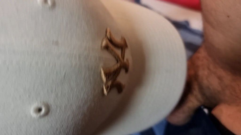 sexy foto nr. 2 von Creampie FOTZE,besamt und geschwängert!!!