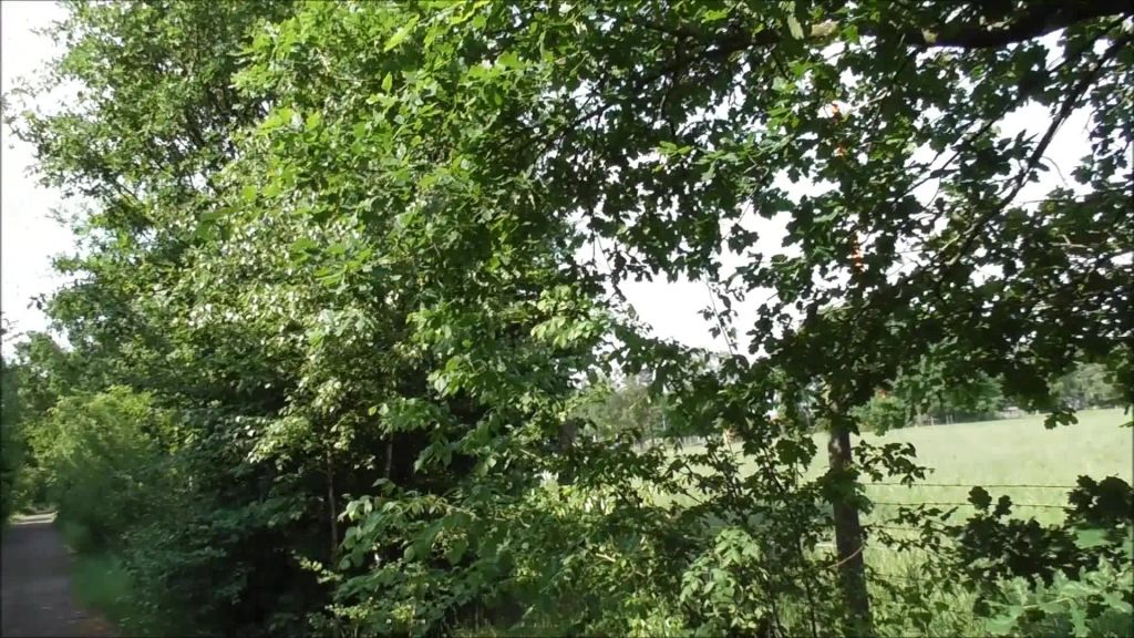 sexy foto nr. 1 von Erstes Outdoor-Video: Der Pisswalk