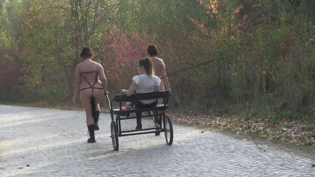 sexy foto nr. 9 von Herbstausritt mit Ponygirls