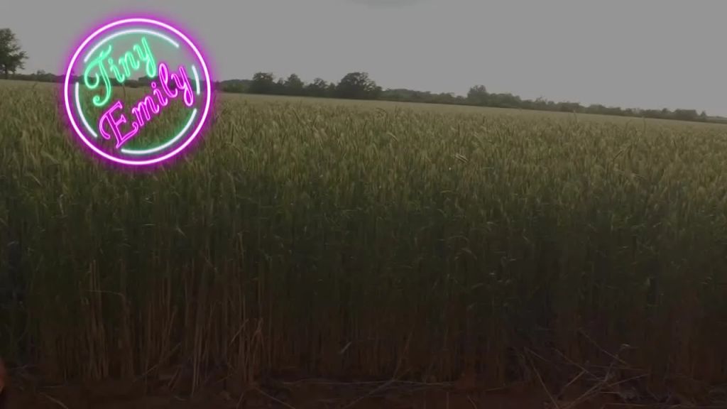 sexy foto nr. 1 von Outdoor USERFICK im Kornfeld!! Geil in den Sommer geritten