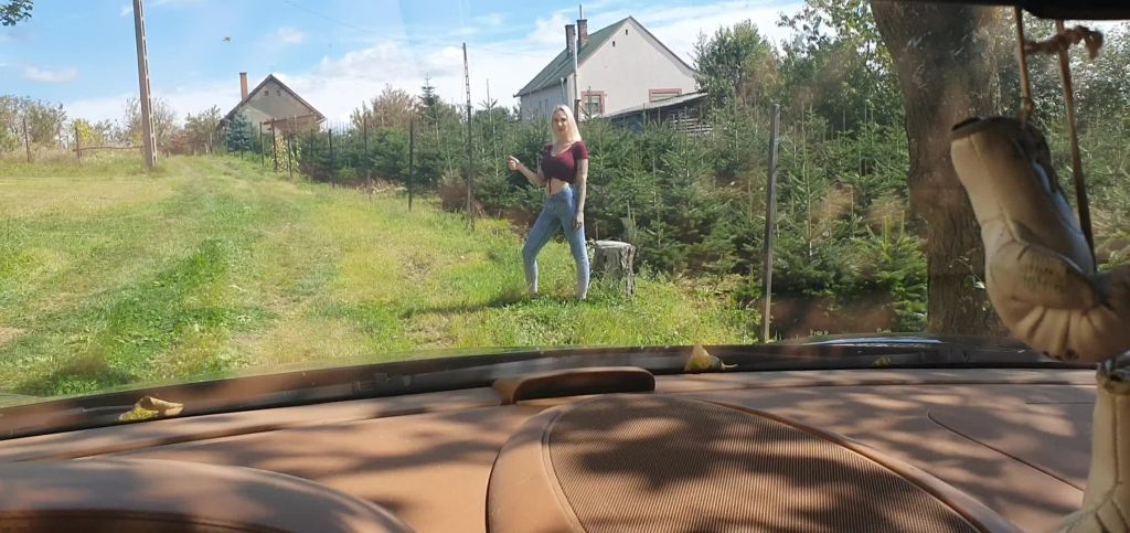 sexy foto nr. 1 von Blowjob fürs mitfahren hat er mich ausgenutzt?
