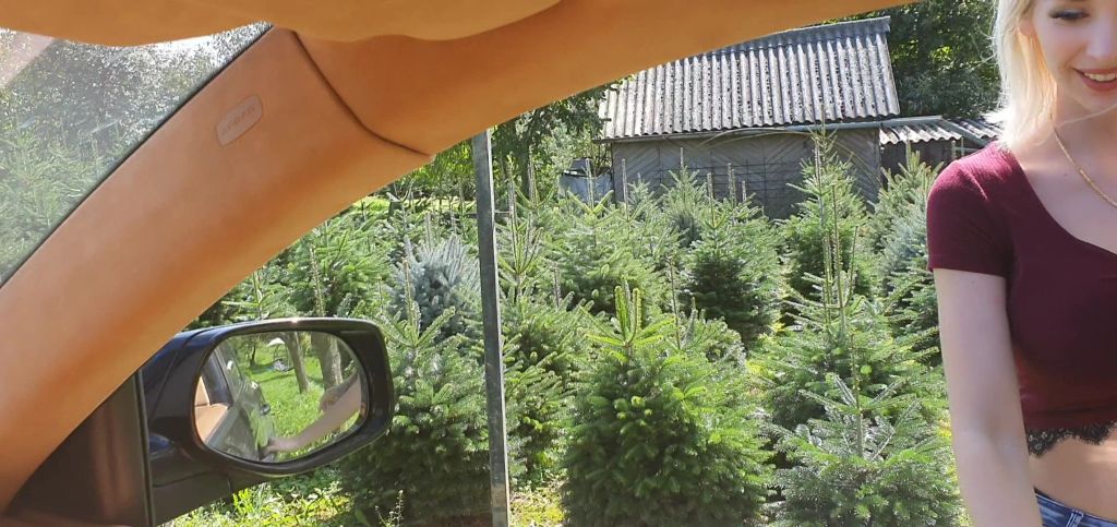 sexy foto nr. 2 von Blowjob fürs mitfahren hat er mich ausgenutzt?