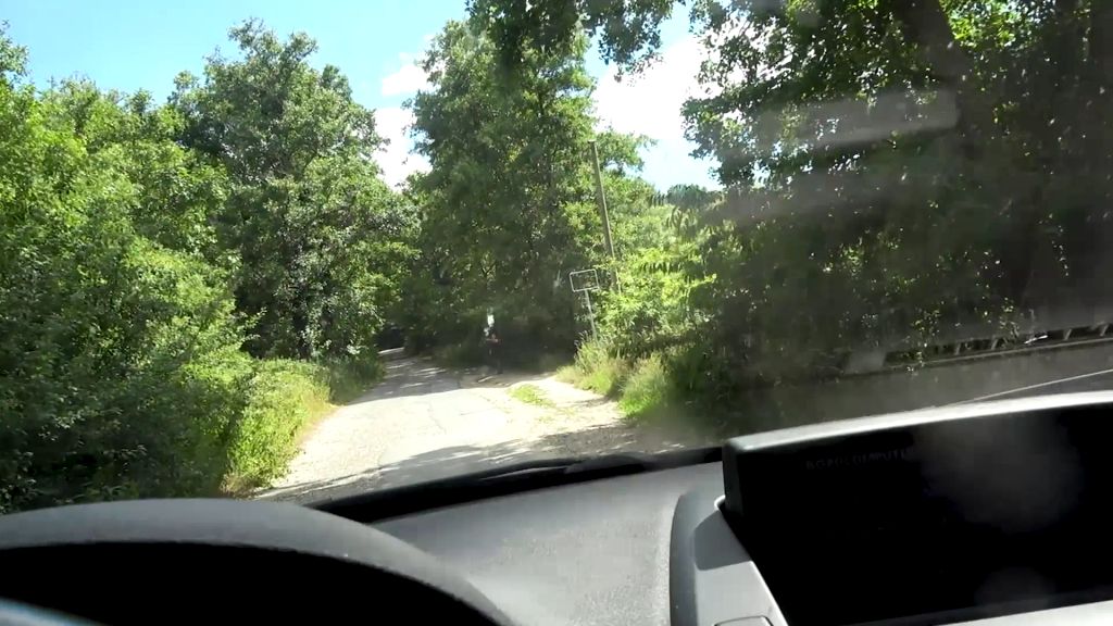 Vorschaubild 1 zum Video „BIG-ASS TEEN LINA - Auto-Sex mit Creampie“
