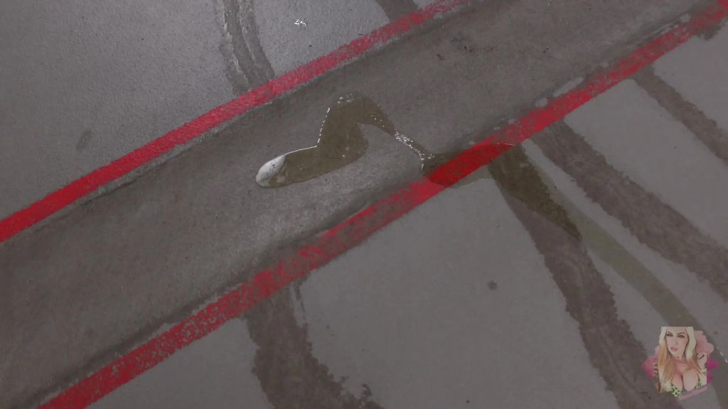 sexy foto nr. 10 von Die PISSFLUT im Münchner PARKHAUS