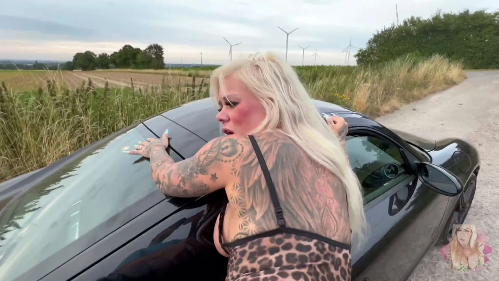 sexy foto nr. 9 von PARTY OLE | im Auto geht es HART VERSAUT weiter ….