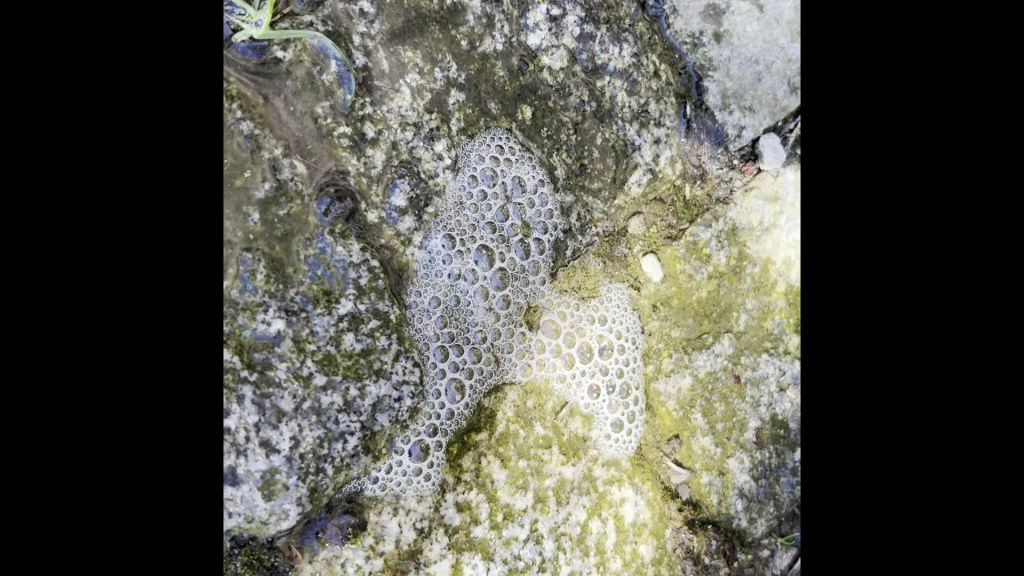 sexy foto nr. 9 von OUTDOOR PISS DATE! Na willst du meine geile Pisse?