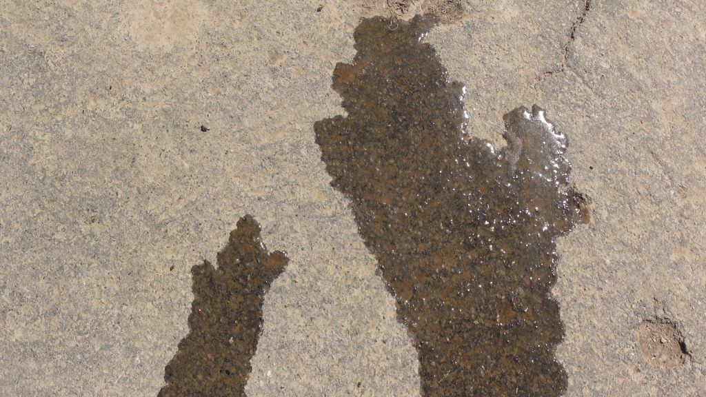 sexy foto nr. 6 von STRUMPFHOSEN PISS plus Aufriss