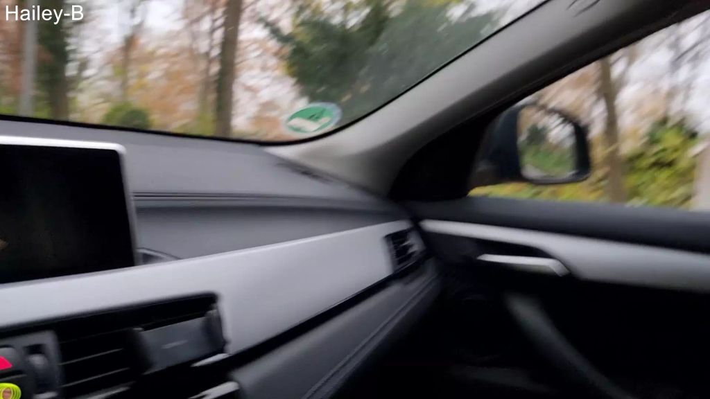 sexy foto nr. 2 von UBER Fahrer in Naturalien bezahlt