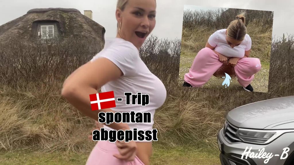 sexy foto nr. 10 von Auf Dänemark Trip spontan abgepisst