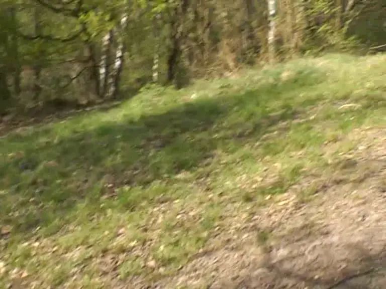 sexy foto nr. 3 von Upskirt am See