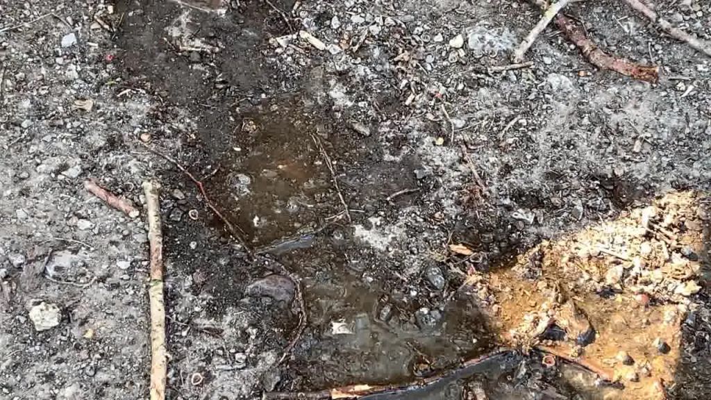 sexy foto nr. 10 von Beim Spaziergang draussen Gepisst