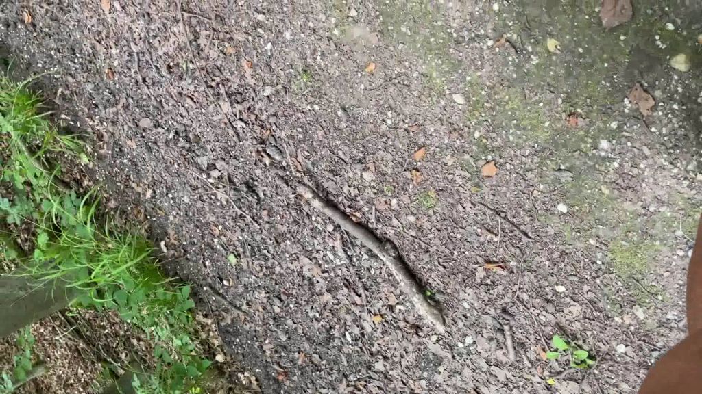 sexy foto nr. 5 von Wichser im Wald Angepisst
